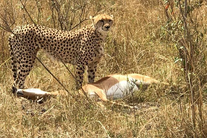 3 days Amboseli, Land of Kilimanjaro - The Itinerary in Detail: What to Expect
