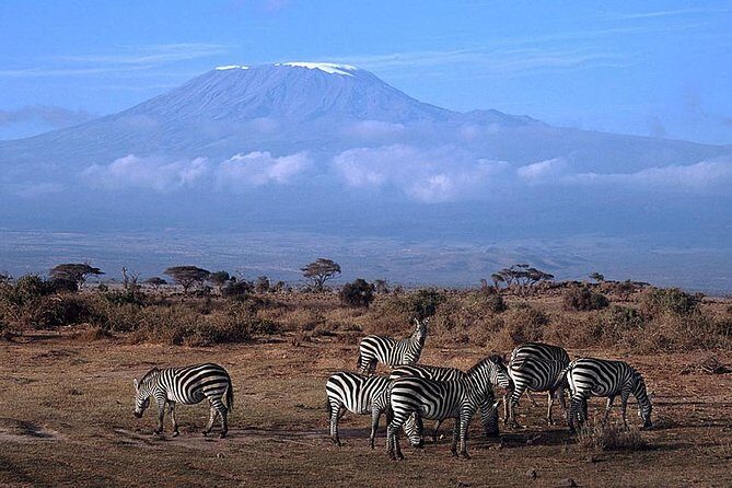 3 days Amboseli, Land of Kilimanjaro - FAQ