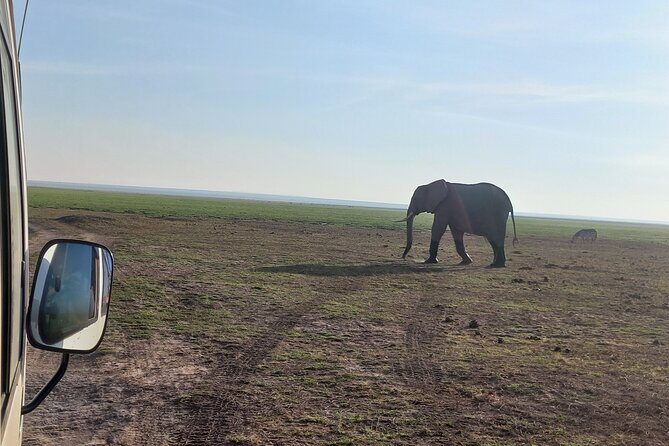 3 Days Amboseli national Park experience. - Practical Tips for Your Amboseli Trip