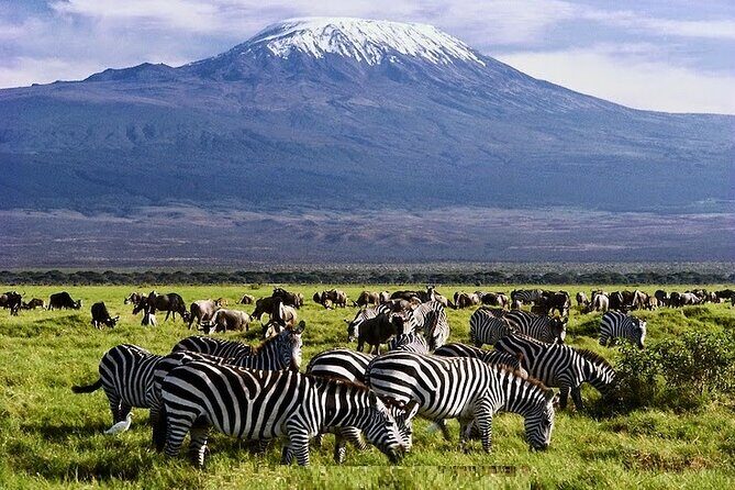 3 Days Amboseli National Park safari - Key Points