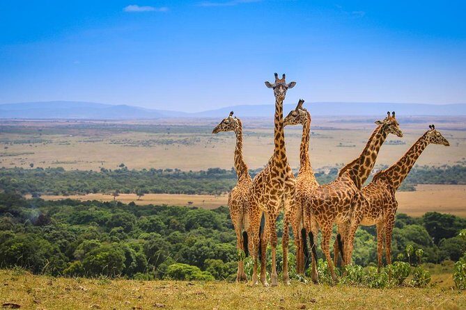 3 Days Amboseli National Park safari - The Itinerary in Detail