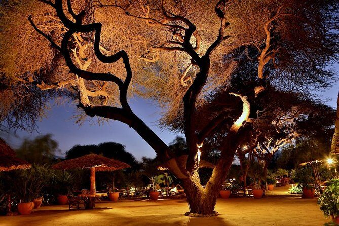 3 Days Amboseli Safari - Exploring the 3 Days Amboseli Safari: Authentic Kenya Wilderness