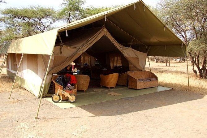 3 Days Amboseli Safari - Final Thoughts  