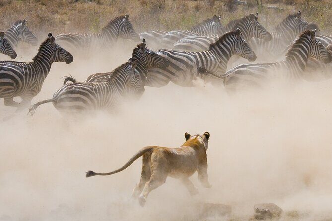 3 Days and 2 Nights Adventure in Masai Mara - Is This Tour Worth It?