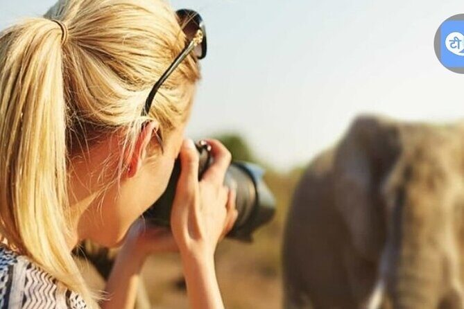 3 Days and 2 Nights Mikumi Private Safari Adventure - Key Points