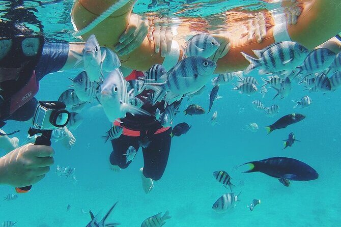 3 Days and 2 Nights Tioman Tour Package from Singapore - FAQs