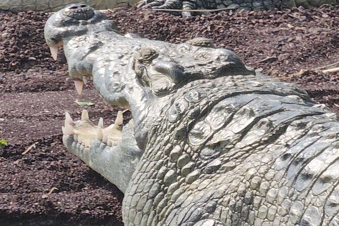 3 days around Arbaminch and Konso Adventure Tours Life Time - Final Thoughts: Who Will Love This Tour?