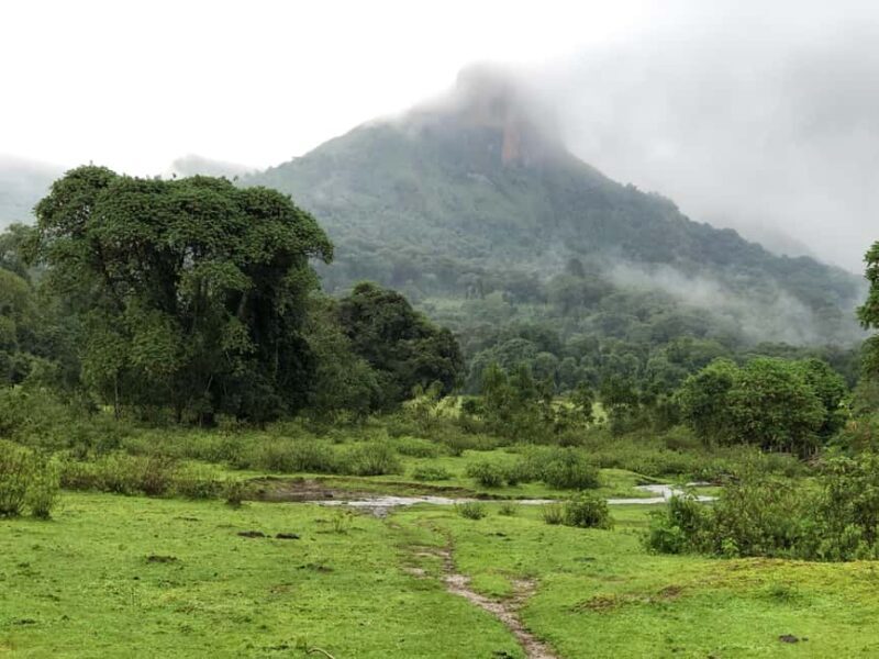 3 Days at Bale Mountains - A Closer Look at the 3-Day Bale Mountains Tour