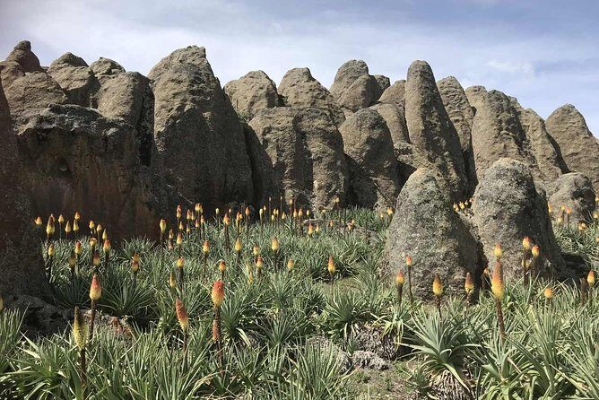 3 Days Bale Mountains Trekking - FAQ