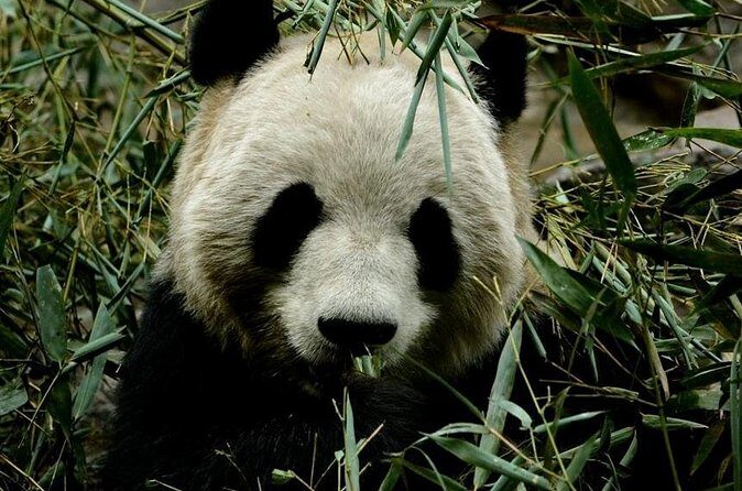 3 Days Beijing Private Tour Combo Package - FAQ