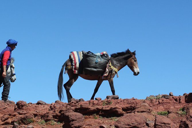 3 Days Berber villages Hike (Atlas Mountains) - Final Thoughts