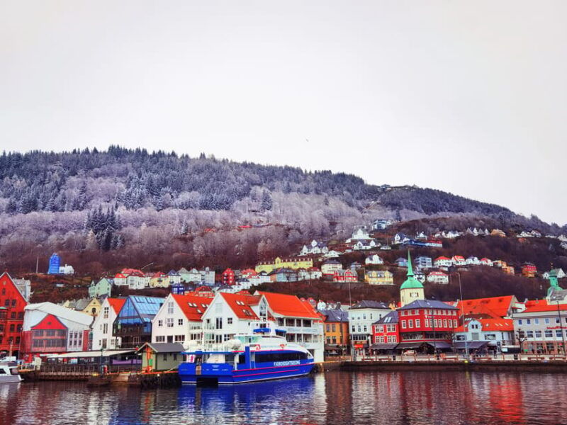 3-days-bergen-naeroyfjord-hardanger-preikstolen-or-trolltunga