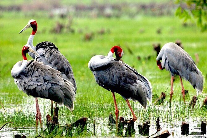 3- Days Best Ecotourism Experiences in Mekong Delta from HCM City - Authentic Experiences and Local Insights