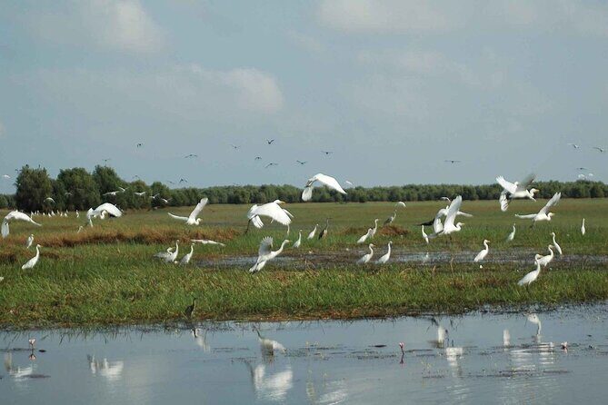 3- Days Best Ecotourism Experiences in Mekong Delta from HCM City - The Sum Up