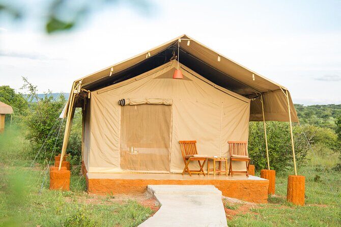 3 Days Best of MasaiMara Wildlife Private Safari, Mid-Range offer - Introduction