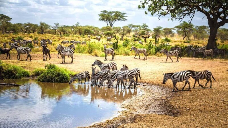 3 Days Best of Tsavo East and West with Mzima Springs Safari - Exploring the Itinerary: What Makes It Special