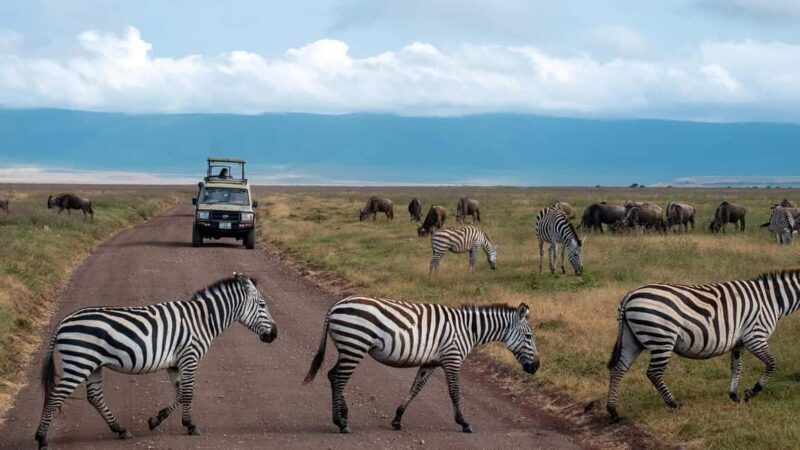 3 Days Best of Tsavo East and West with Mzima Springs Safari - Who Would Love This Tour?
