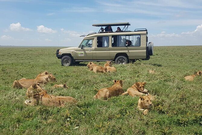 3 Days Big 5 Tour and Culture in Tanzania - FAQ