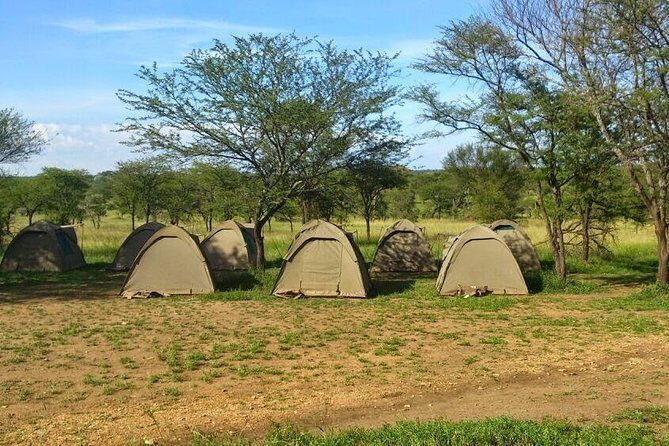 3 Days Budget Camping Safari Tour Tanzania - A Closer Look at the 3-Day Itinerary