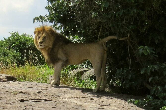 3 Days Budget Mid Range Safari Tour Tanzania - FAQs