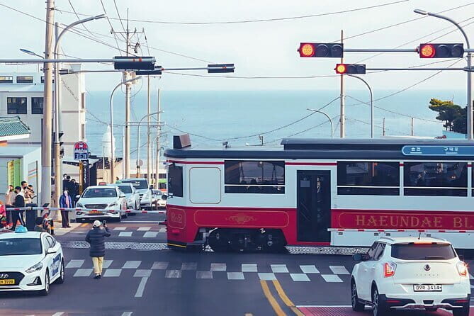 3 Days Busan and Gyeongju Private Tour - The Sum Up