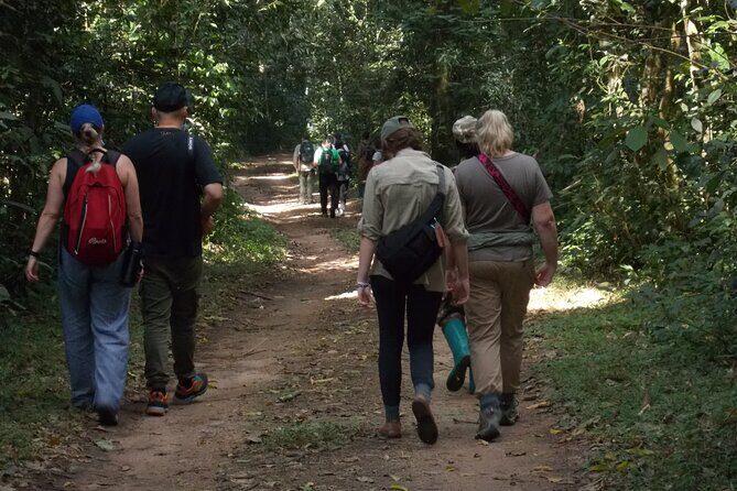 3 Days Bwindi Gorilla Trekking tour - Overview of the Tour Experience