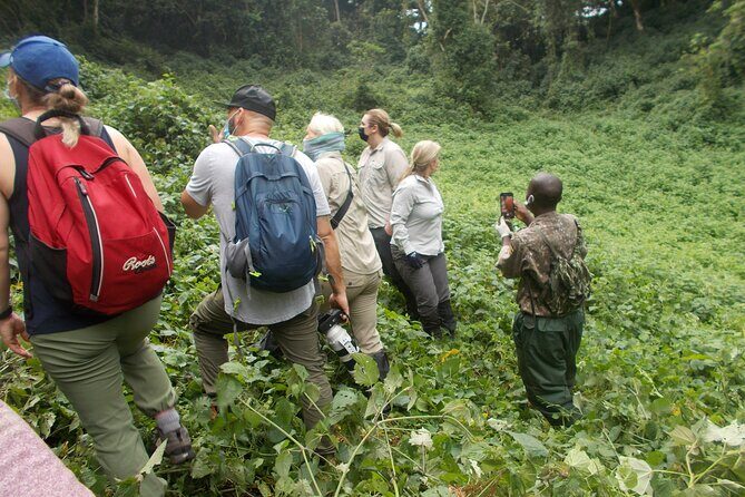 3 Days Bwindi Gorilla Trekking tour - Who Should Book This Tour?