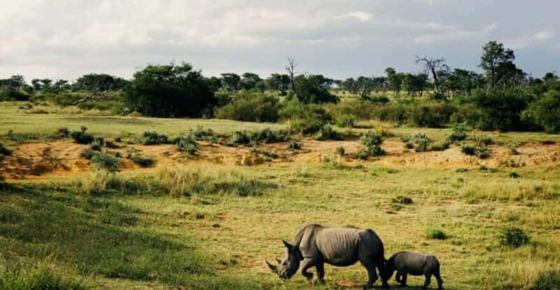 3 Days Camping Safari - Key Points