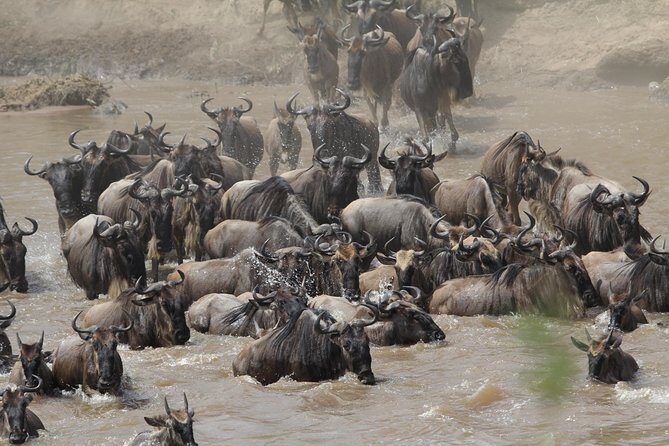 3 Days Camping Safari Tarangire, Lake Manyara and Ngorongoro Crater - Final Thoughts