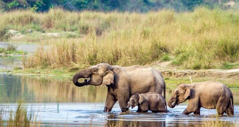 3-days-chitwan-jungle-tour-with-meals-kathmandu-pokhara