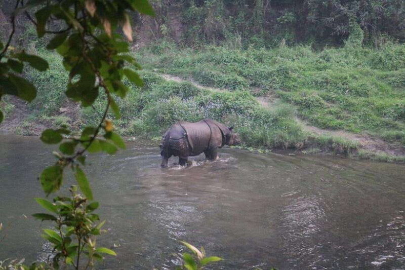 3-days-chitwan-safari