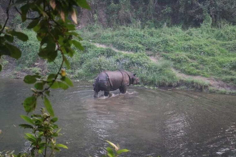 3-days-chitwan-safari