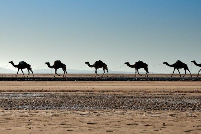 3 Days Danakil Depression Tours Via Semera - Who Should Consider This Tour?