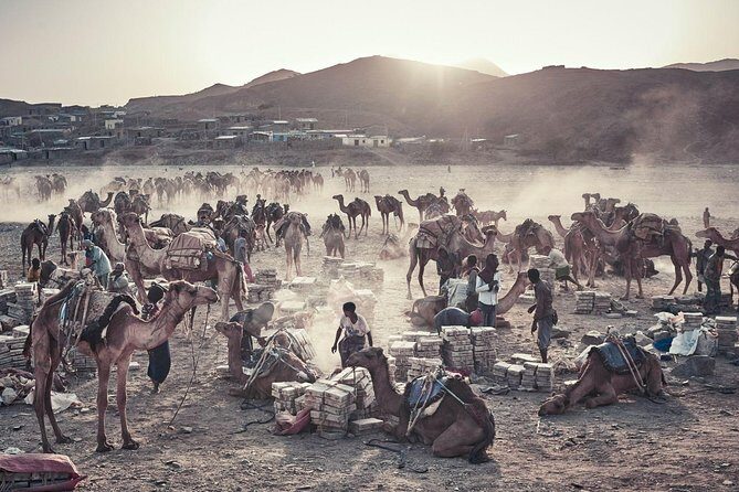 3 Days Danakil Depression Tours Via Semera - FAQ