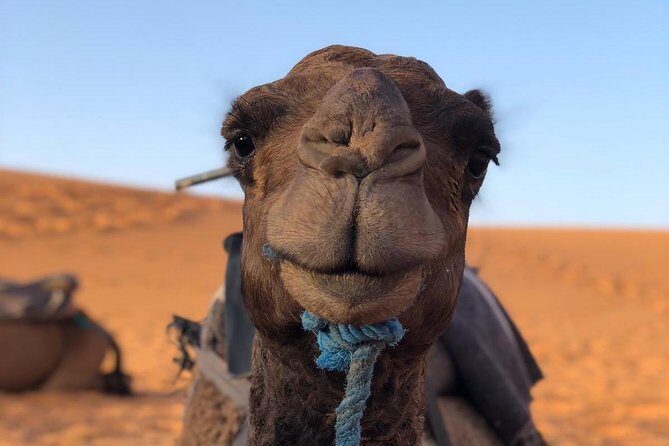 3 days Desert tour form Marrakech to Merzouga - FAQ
