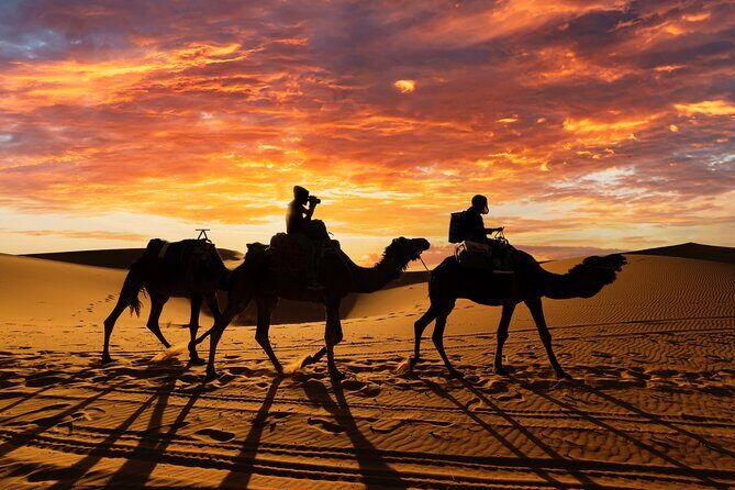 3 Days Desert Tour from Fes to Marrakech via Merzouga - An In-Depth Look at the Itinerary