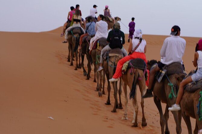 3 Days Desert Tour from Marrakech to Fes - What We Loved About This Tour