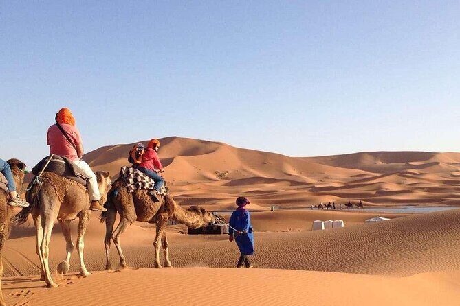 3 Days Desert Tour From Marrakech To Fes (From Buget to Luxury) - An In-Depth Look at the Itinerary and What to Expect