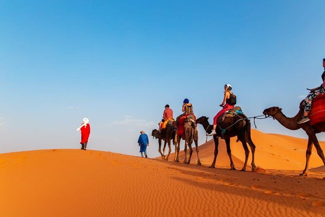 3 Days Desert Tour From Marrakech To Merzouga & Camel Trek - Key Points