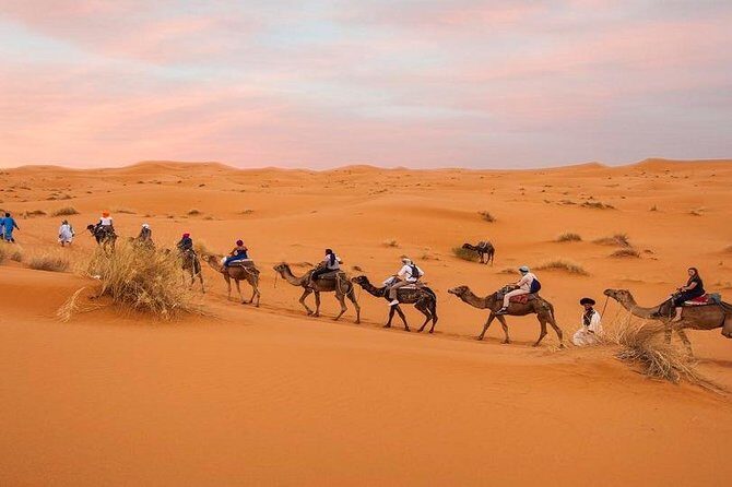 3 Days Desert tour from Marrakech to Merzouga including Camel ride and Kasbahs - An Authentic Moroccan Desert Adventure in Just Three Days