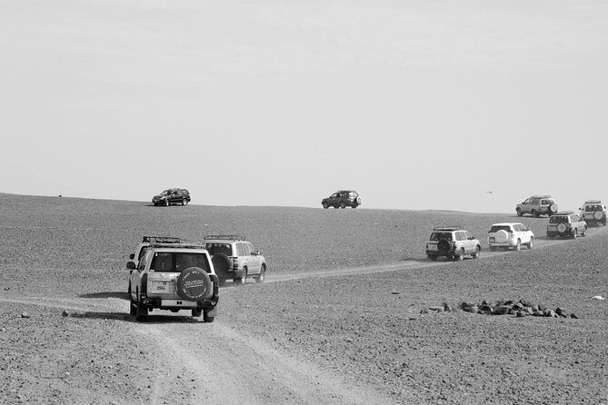 3 days desert tour from Marrakesh to Chigaga (shared minibus, camel & Safari) - Transportation & Activities: What to Expect