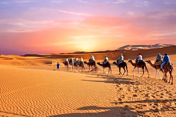 3-Days Desert Tour Marrakech to Fes via Merzouga Desert - Analyzing the Experience: Is It Worth It?