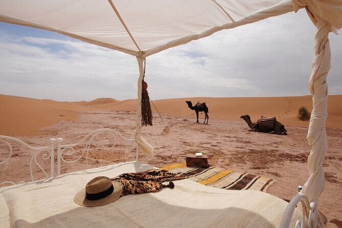 3 Days Desert Tour To Merzouga From Marrakech - The Sum Up