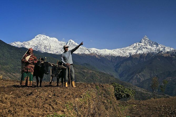 3 days Dhampus Sarangkot Hike - An In-Depth Look at the Itinerary