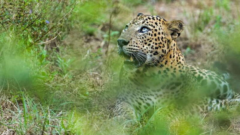 3-days-different-discovery-private-wildlife-tour