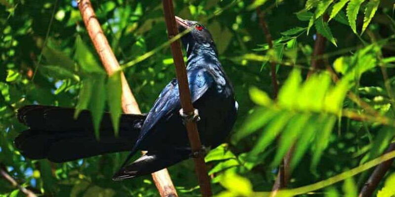 3-days-different-discovery-private-wildlife-tour