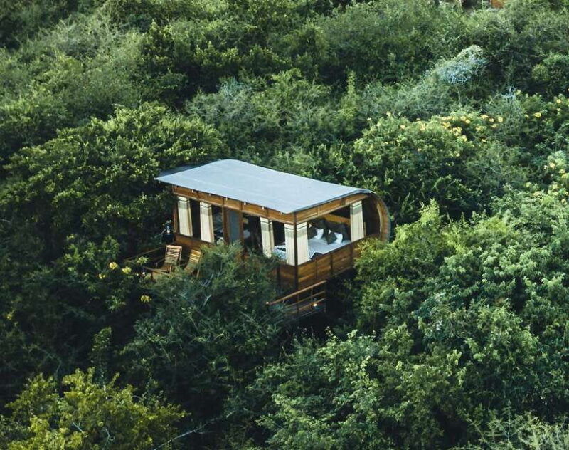 3-days-different-discovery-private-wildlife-tour