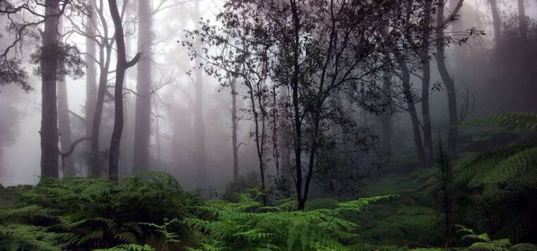 3-days-different-discovery-private-wildlife-tour