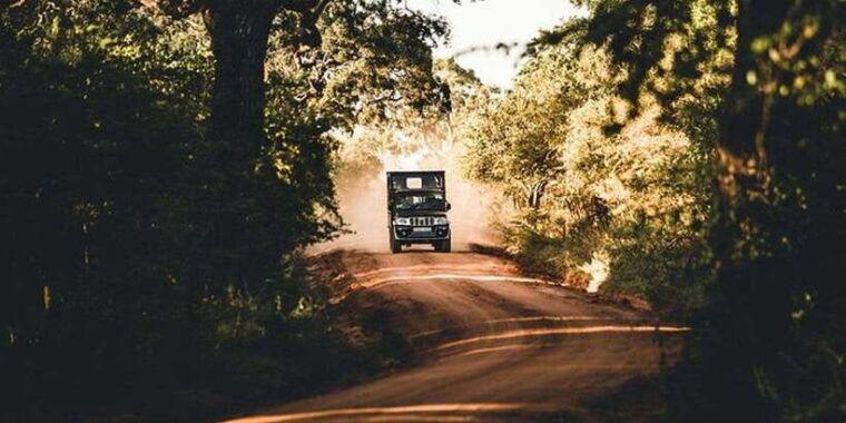 3-days-different-discovery-private-wildlife-tour