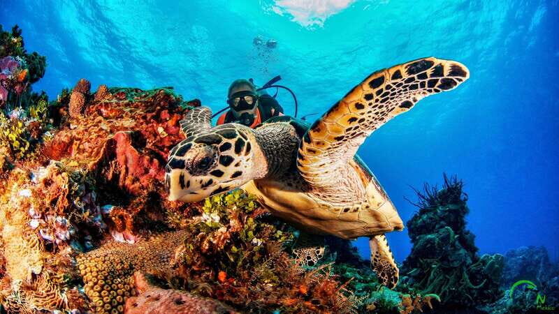 3 Days Discover Dive Package - Key Points